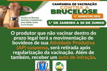 Campanha de vacinação contra a Brucelose 