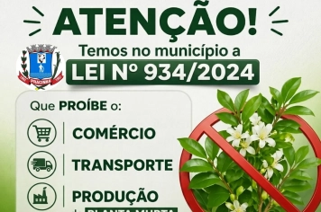 Está em vigor no município a Lei nº 934/2024, que proíbe o comércio, transporte e produção da planta murta.