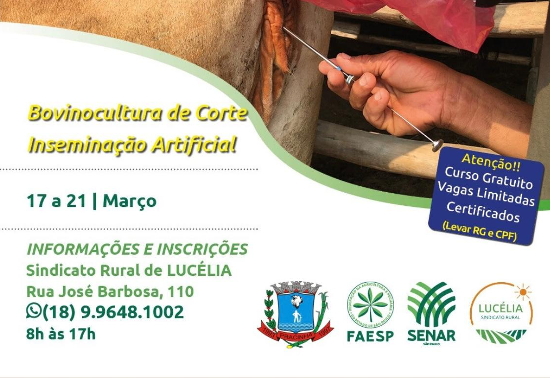 Curso gratuito de bovinocultura de corte e inseminação artificial 